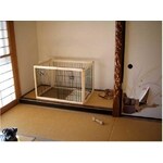 わが家にパグがやってきた（和室→洋室）