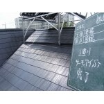 屋根