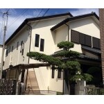 ひび割れが出始め外壁を綺麗にしたい。