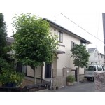 外壁