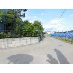 雑草が生えている場所に舗装を