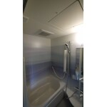 柔らかな明るさが心地よい浴室に