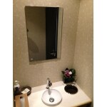 トイレの手洗いスペース