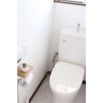 トイレもリニューアル