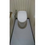 洗浄力･除菌力抜群高性能トイレ