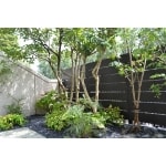 お庭の再生！美しい日本庭園へ進化