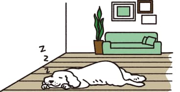 犬のお部屋づくり