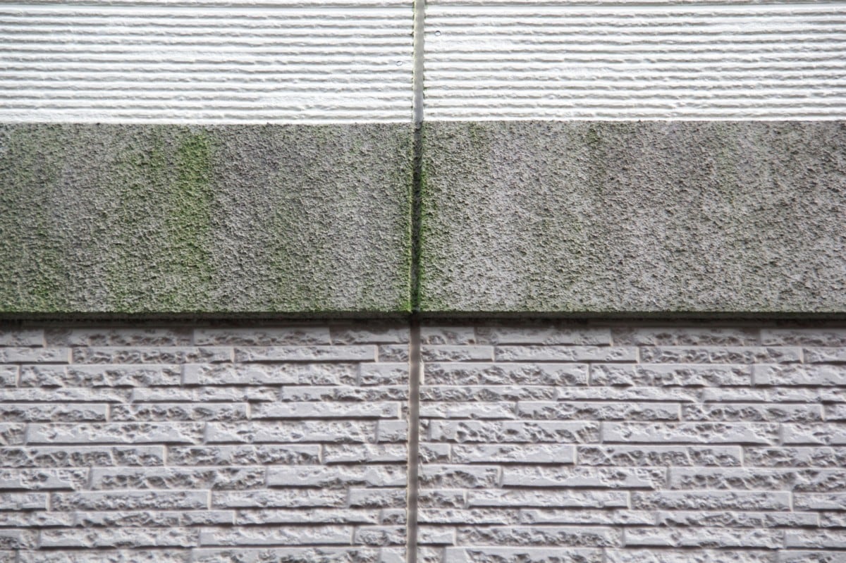 住宅の外壁の色褪せと藻・コケ