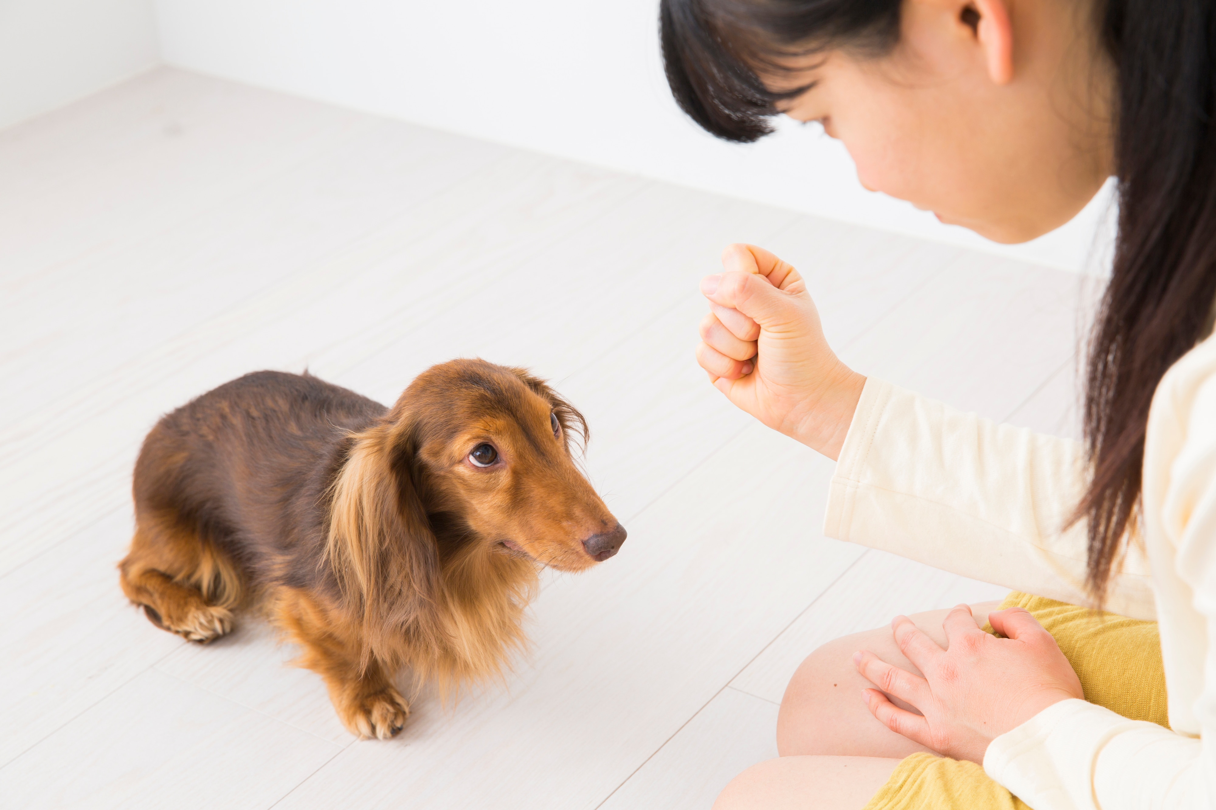 柱のキズの補修方法